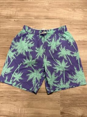 abercrombie kids Purple and Mint Palm-Print Swim Trunks Boys Size 17/18